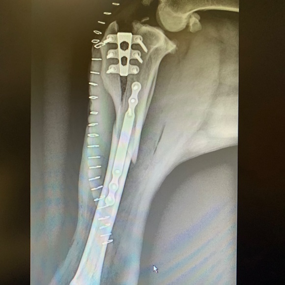 Meet your Posher, Tracey - Picture 6 of 13